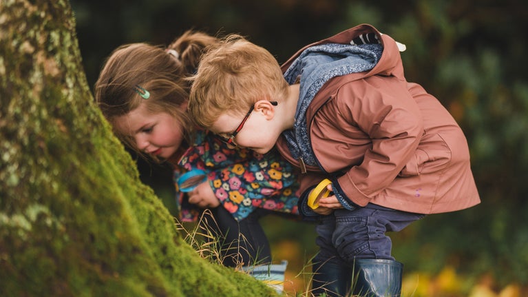 Go on a bug hunt at Florence Court